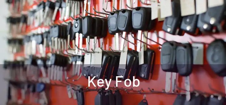  Key Fob 